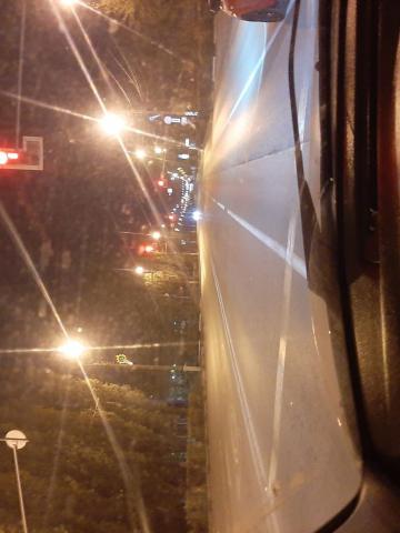 Дина Хищница фото 2